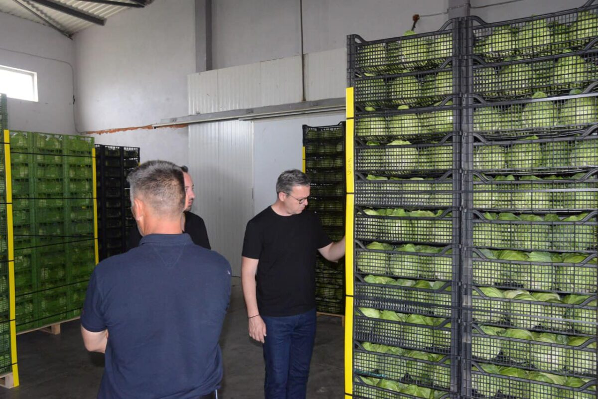 Трипуновски: Зелката ќе остане неоткупена заради лошите политики на СДС кои наместо на извоз, се фокусираа на увоз на земјоделски производи