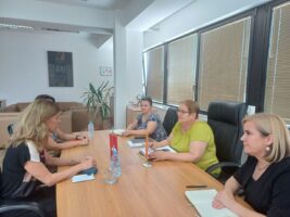 Јаневска – Улман: Успешните практики од средното стручно образование може да се пренесат и во високото