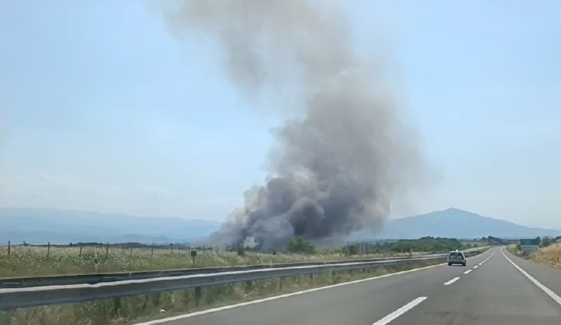 (Видео) Пожар се шири на ридот меѓу Горно Коњари и Миладиновци