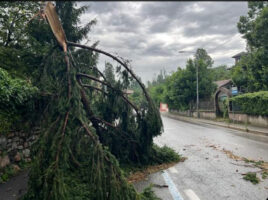 (Видео) Целосен колапс во Италија: разнесени дрвја и блокирани патишта  поради невремето