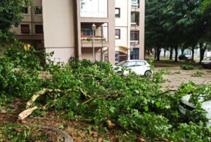 (Видео+фото) Силно невреме го пустоши регионот: поплава во Белград, силниот ветер корнеше дрвја во Хрватска, оштетени згради во БиХ