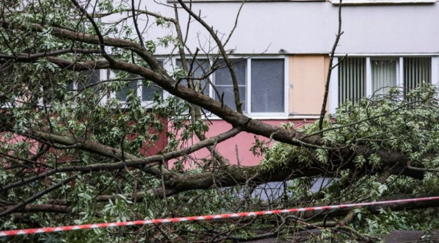 Загина 11-годишно момче кога врз него падна дрво: по страшното невреме, затворени градини и паркови во Санкт Петербург