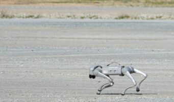 Кинески научници тестираат куче-робот за да им помогне на лицата со оштетен вид