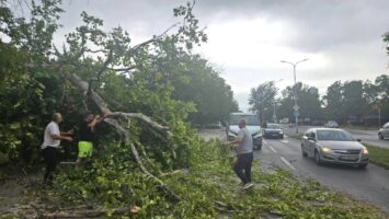 Силниот ветер направи хаос во Скопје: паднати дрвја, оштетени возила, откачени лимови, искинати кабли од бандери