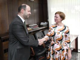 Средбa на министерот Мисајловски со амбасадорката на Ср Германија, Н.Е. Петра Дрекслер