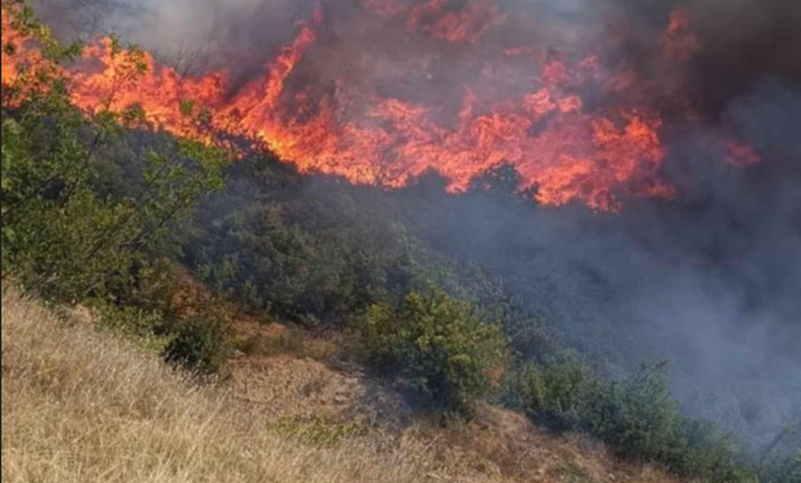 Потребни се донации за жителите на источна Македонија кои се погодени од пожарите