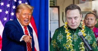 (Видео) Илон Маск во тимот на Доналд Трамп: „Бидејќи не е зафатен, се согласи да води нова работна група“