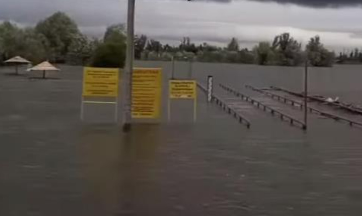 (Видео) Невремето во Србија направи хаос: се излеа Дунав, ветерот корне дрвја