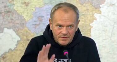 (Видео) Полскиот премиер: Ако видите германски војници, не паничете, дојдоа да помогнат