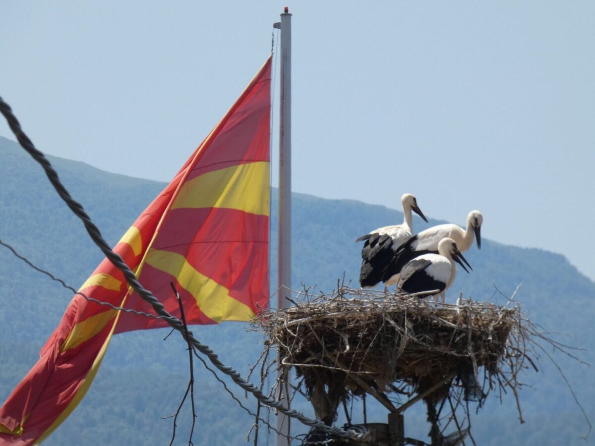 Попис на штрковите во Македонија