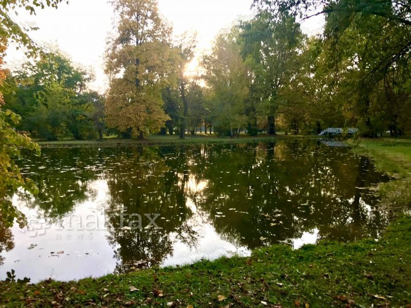 Претежно сончево и топло со умерен ветер од јужен правец