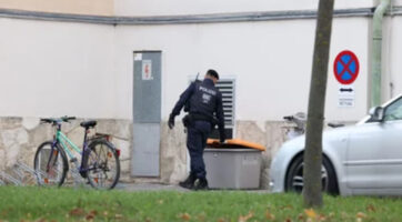 Бебето кое исчезна од породилиштето во Виена е пронајдено мртво во корпа за ѓубре, уапсена мајката