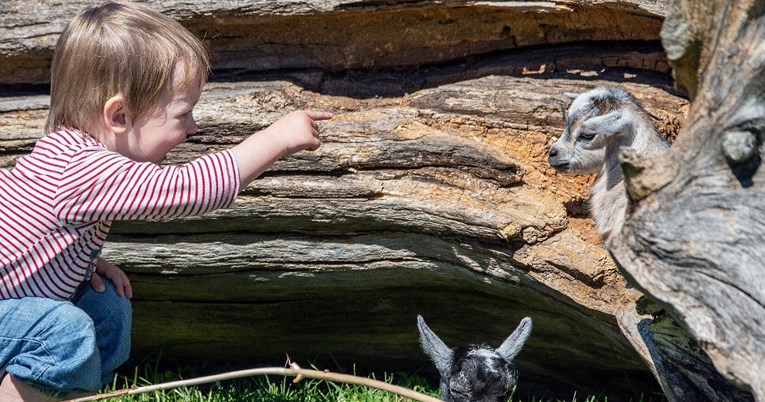 Данците одгледуваат емпатични и независни деца