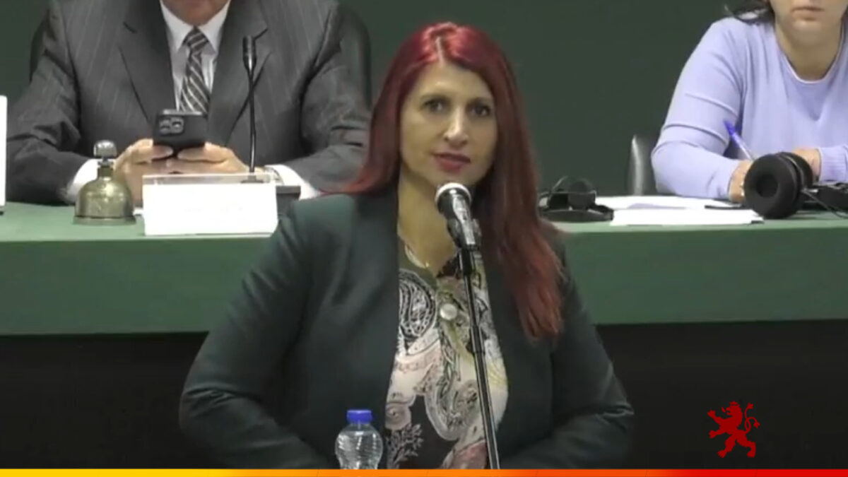 Костадинова: Арсовска, и по неколку месеци, не одговара на иницијативите од општините доставени до Град Скопје