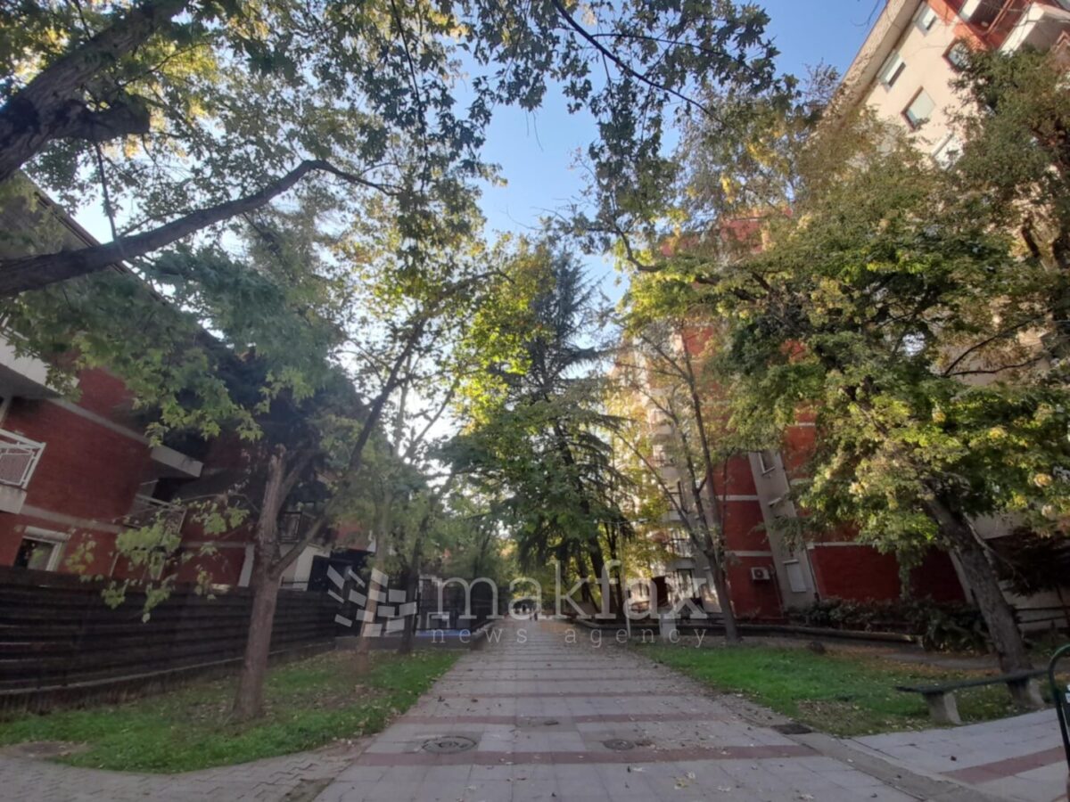Наутро студено, во текот на денот сончево