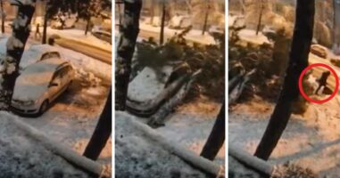 (Видео) Дрво падна врз пешак во Бања Лука:  тој само замина