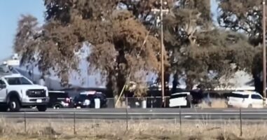 (Видео) Пукање во училиште во Калифорнија, напаѓачот ранил две деца, тие се пренесени во болница