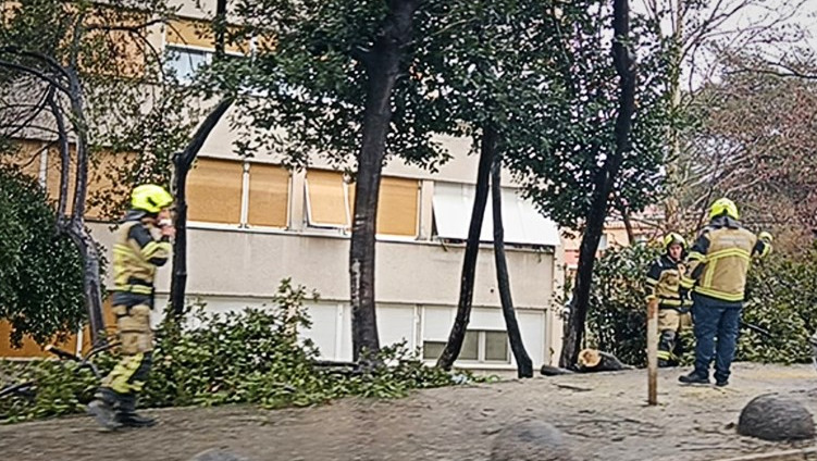 (Видео) Урагански ветер во Сплит од 120 километри на час урна дрвја и канделабри