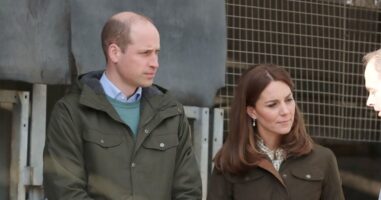 Кралскиот биограф за принцот Вилијам: Тој веќе се подготвува за улогата на крал