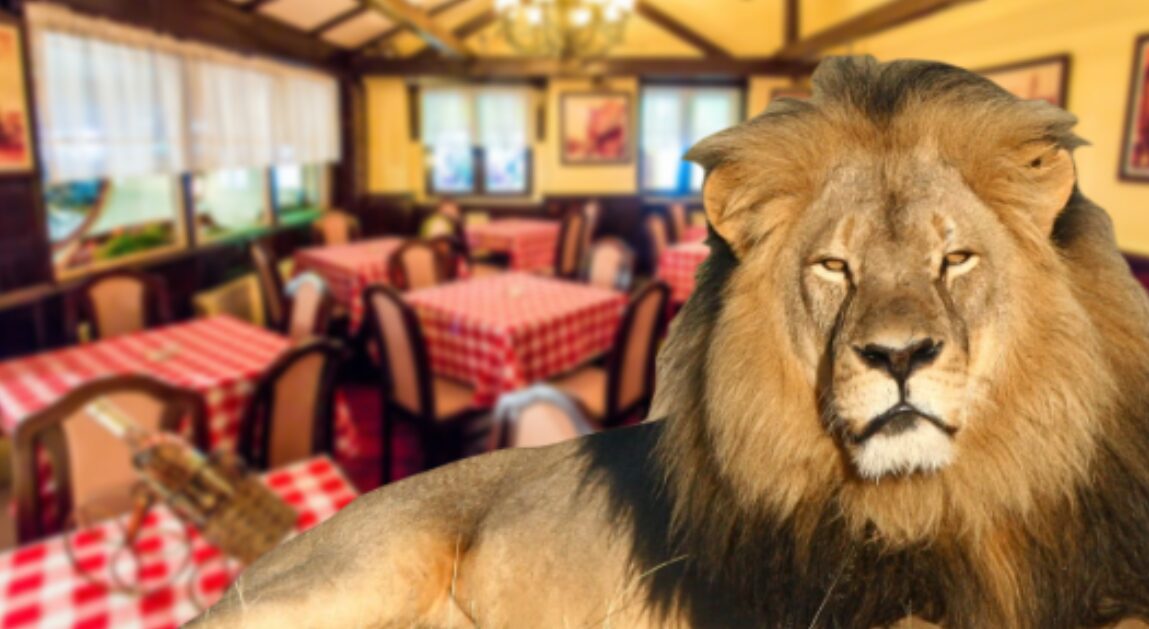 Виц на денот: Лав и бик во кафеана