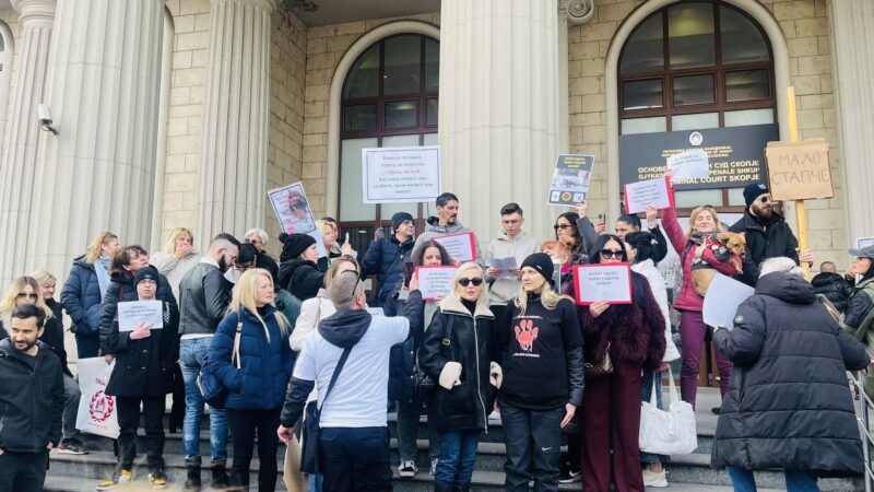 (Видео) Пред Кривичен се бара правда за „Феликс“: Држава која не превенира и санкционира, охрабрува насилство!