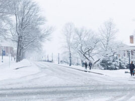 Во Вирџинија стотици несреќи поради снег и мраз, десетици илјади луѓе без струја