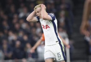 Бергвал го продолжи договорот со Тотенхем