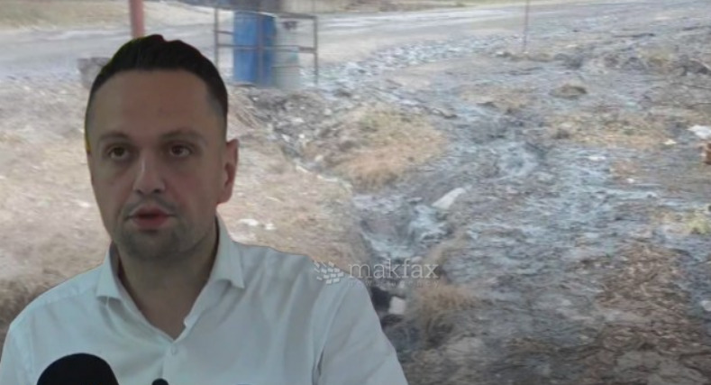 СДСМ: Гиновска ги штити загадувачите на Крива Река, наместо граѓаните