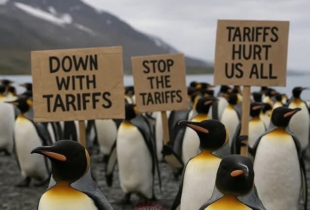 Трамп наметна царини за пингвините, тие се „одмаздија“ со вирални објави