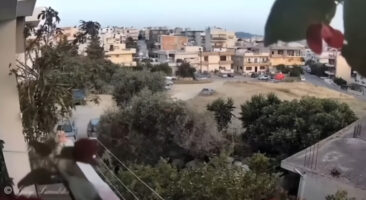 (Видео) Први снимки од силниот земјотрес на Крит: автомобилите се тресат, сè паѓа на подот во маркетите, оштетени се згради