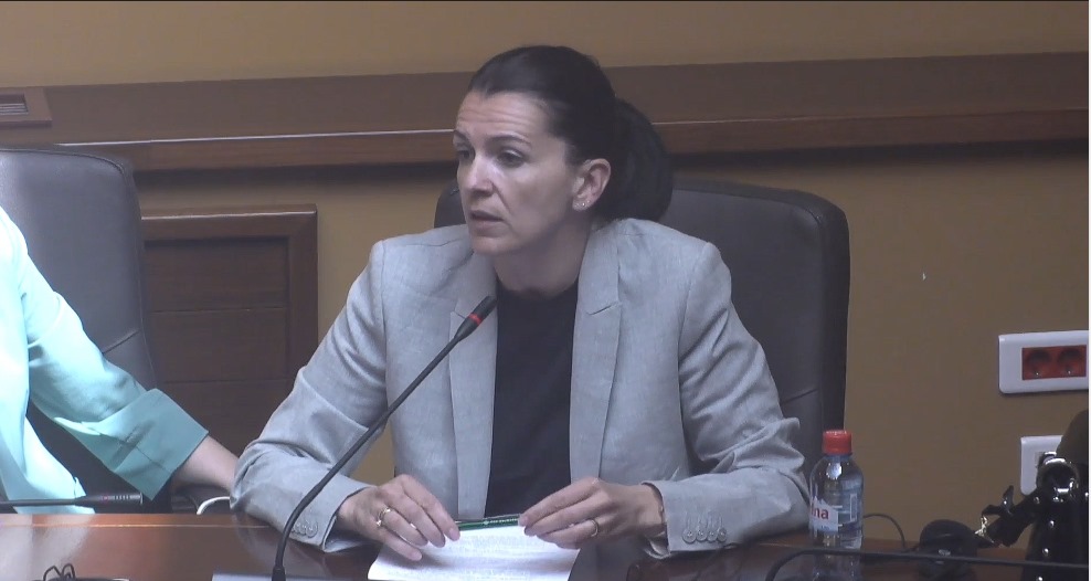 Костадиновска-Стојчевска: Со измените, власта го уназади Законот за македонски јазик