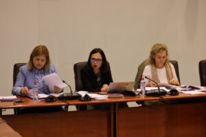 Министерството за енергетика прифати амандмани поднесени од сите пратенички групи за Законот за енергетика