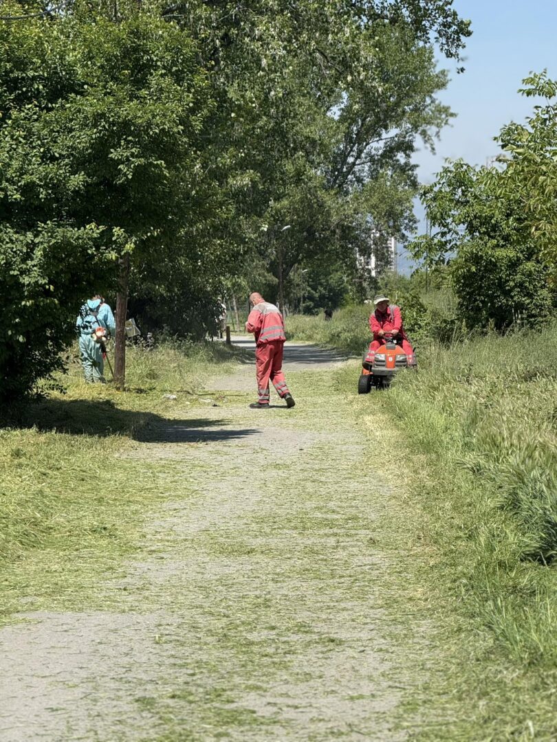 Општина Кисела Вода спроведува акција за уредување на зеленилото
