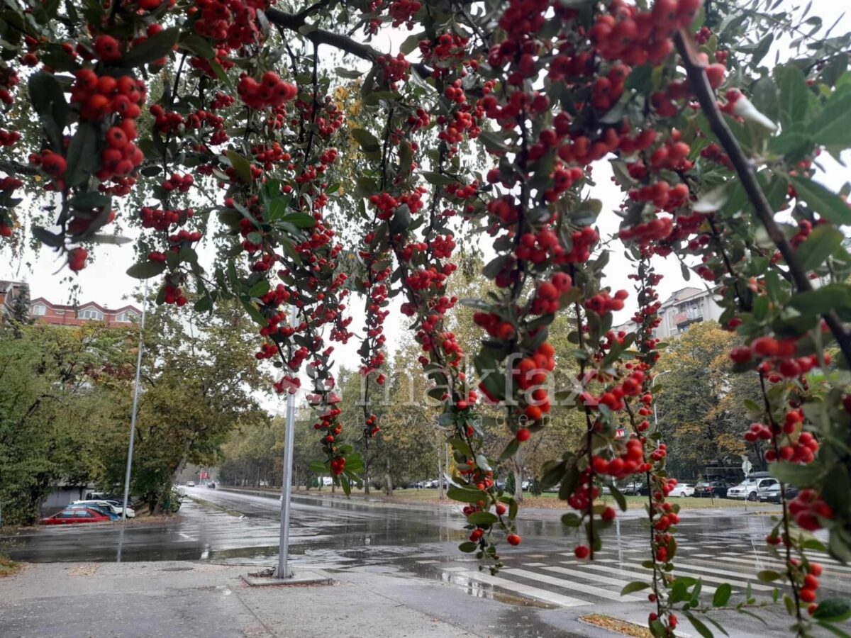 Променливо облачно со повремен локален дожд