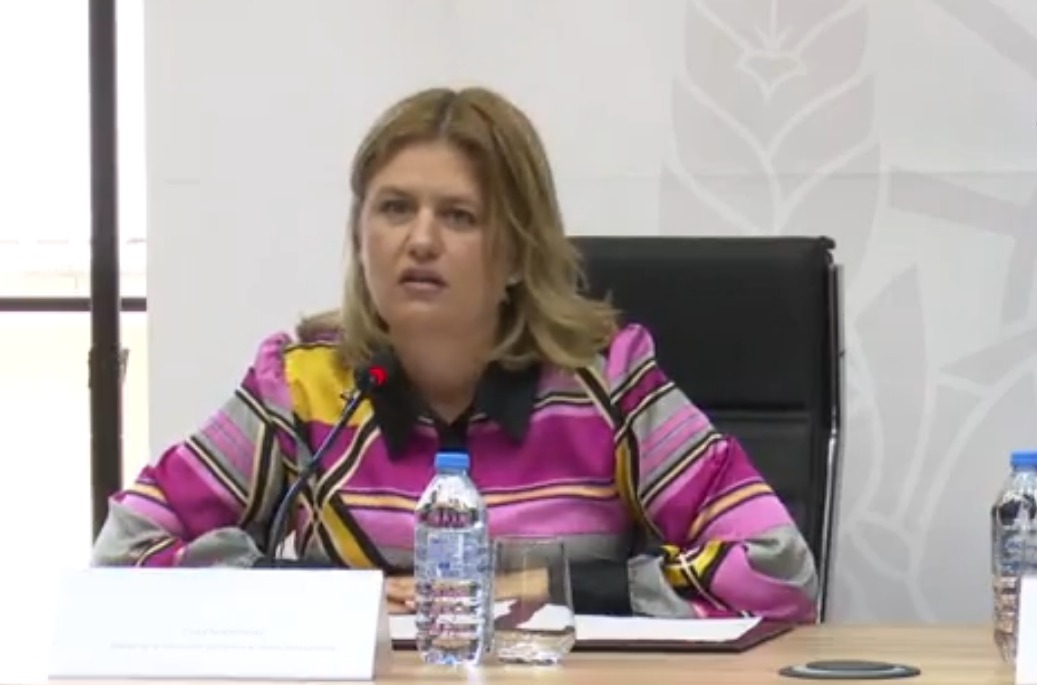 Со 90 % сигурност кај нас нема да се случи прекин на струјата како во Шпанија и Португалија, вели министерката Божиновска