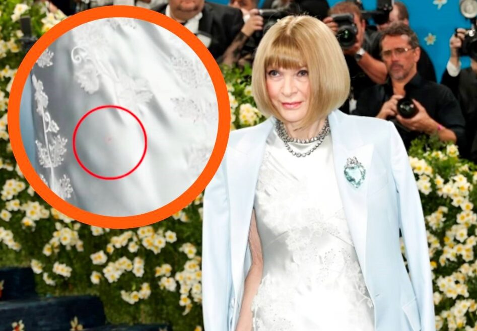 (Фото) Ана Винтур фотографирана на Мет Гала со дамка на фустанот, коментарите се сè