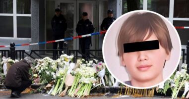 Вештак открива детали за момчето-убиец од Белград: „Сакал да биде психопат“