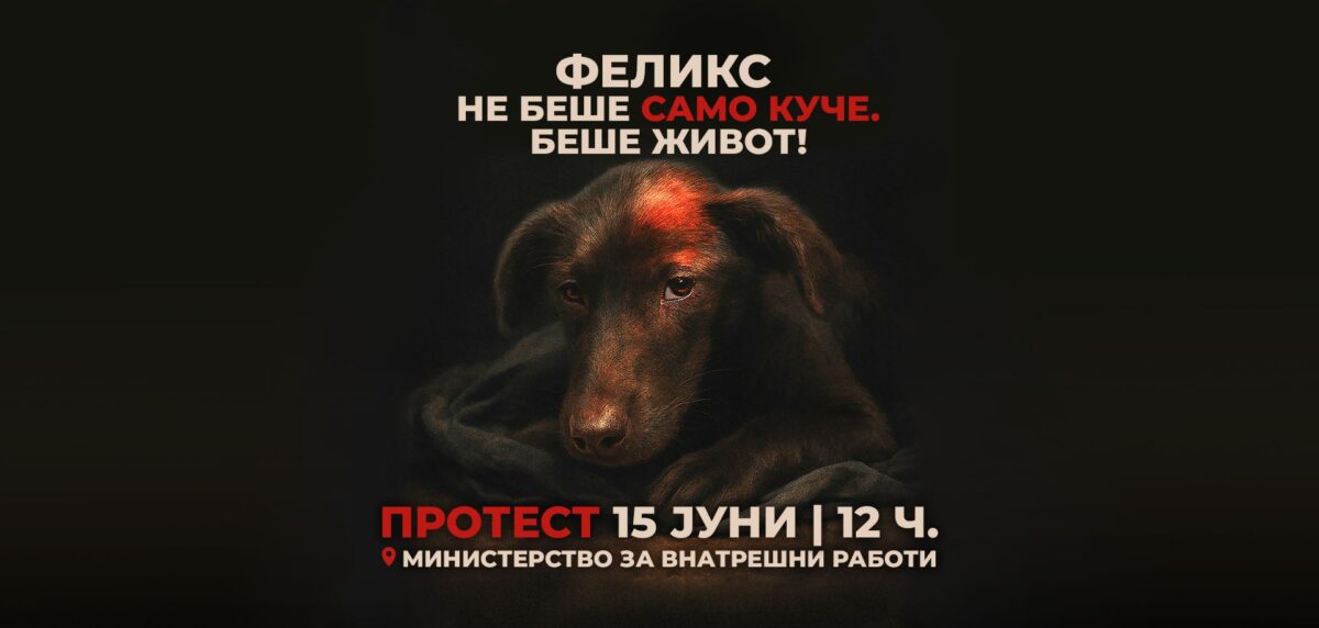 Денес протест пред МВР поради одложеното рочиште за убиството на кучето Феликс