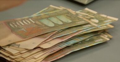 Исплатени над 340 милиони денари субвенции за обележани грла говеда