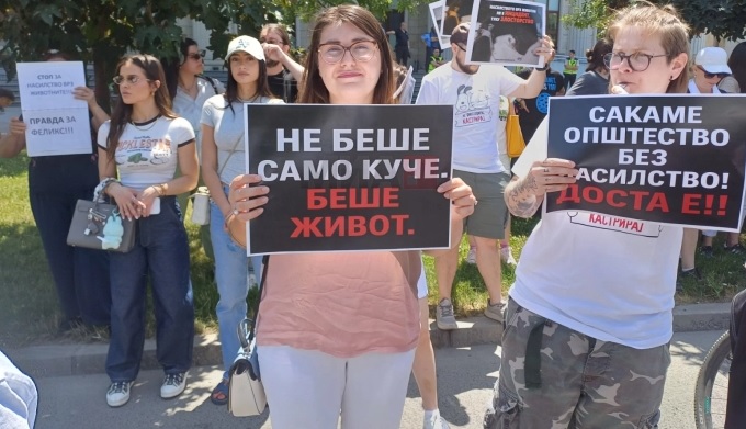 Протест за убиството на Феликс, насилството врз животните мора да престане, а сторителите да бидат казнети