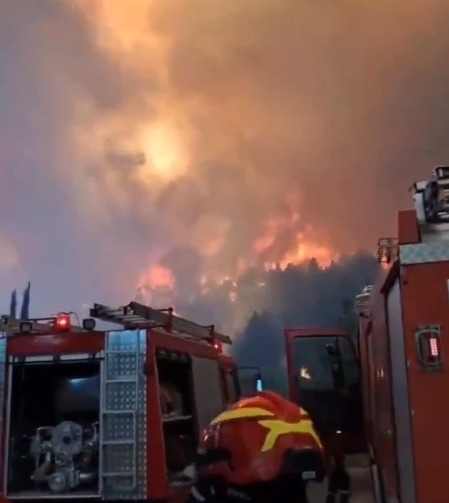 (Видео) Голем пожар во Грција: наредена итна евакуација