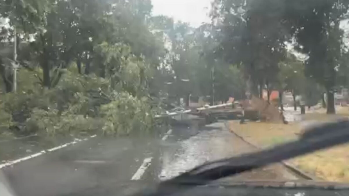 (Видео) Големо невреме во Загреб, ветерот крши ролени, урива дрвја