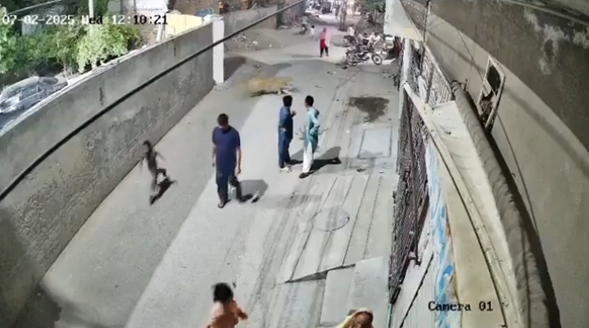 (Видео) Лав избега од куќа во Пакистан, нападна жена и деца, сопствениците се уапсени