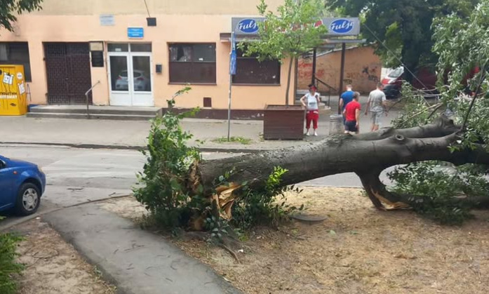 (Видео) Невреме во Србија: превртен камион, откорнати дрвја, поплавени улици