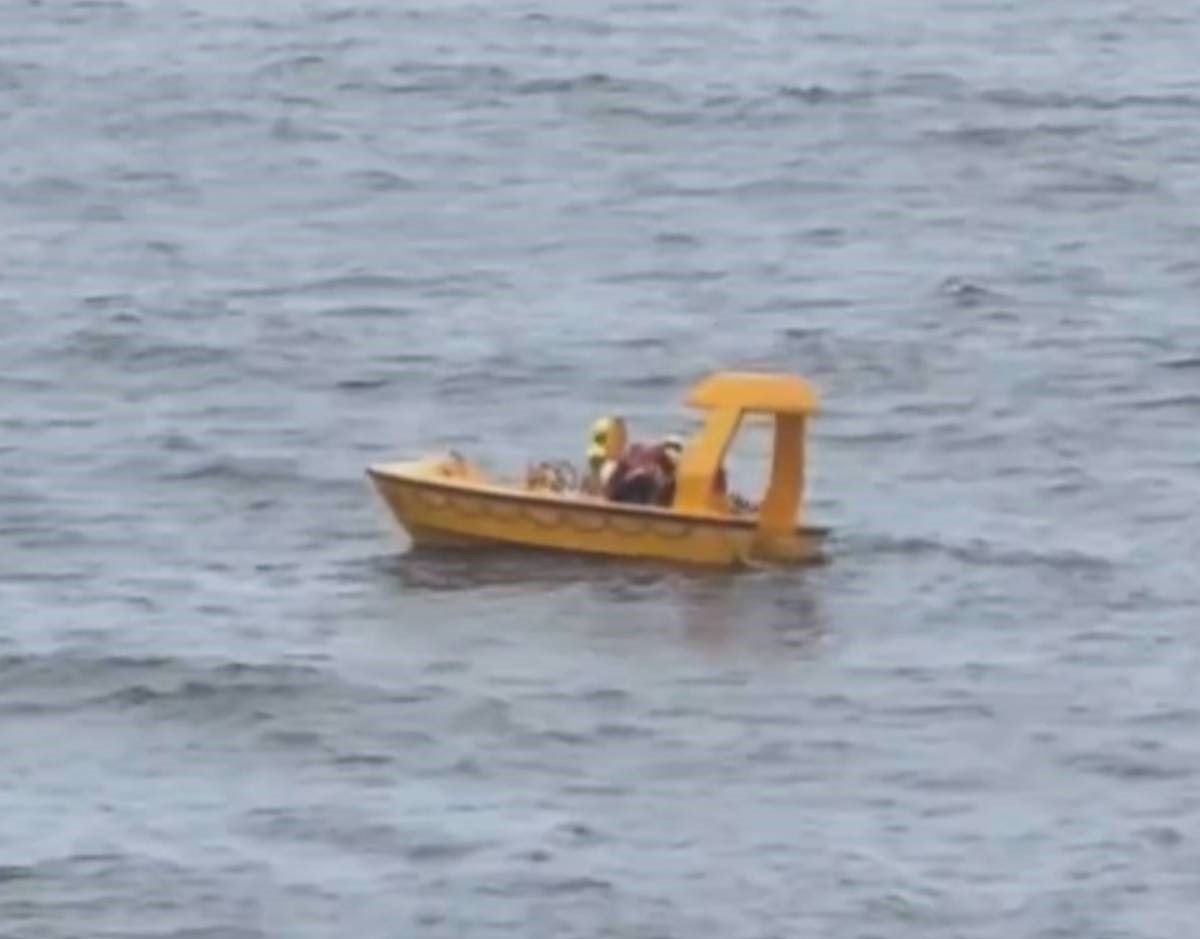 (Видео) Четиригодишно девојче падна во море од крузерот на „Дизни“: таткото скокнал по неа, двајцата се спасени