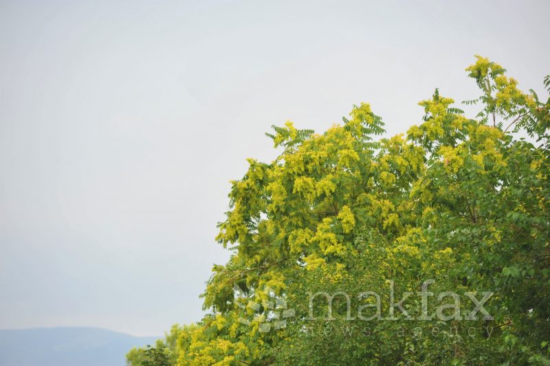 Променливо облачно, посвежо и нестабилно со локален пороен дожд, грмежи и услови за краткотрајно невреме