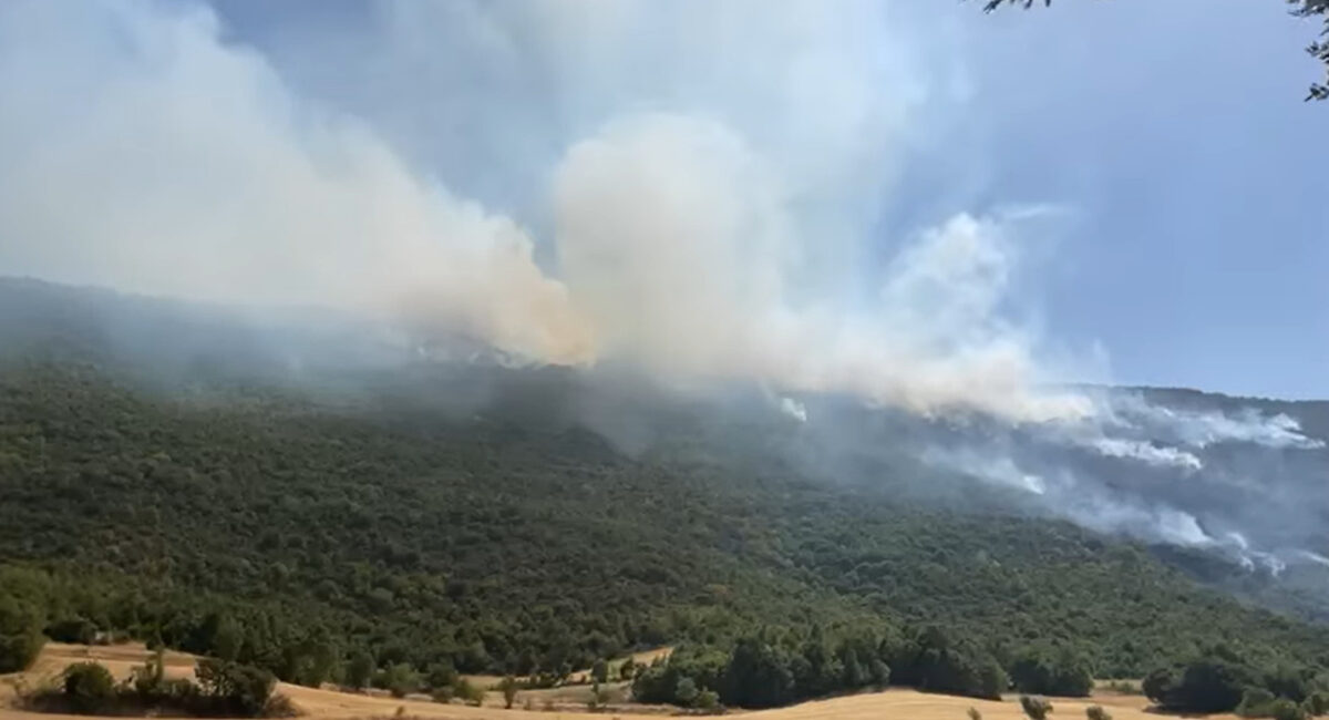 (Видео) Нов пожар избувна кај тетовско Желино