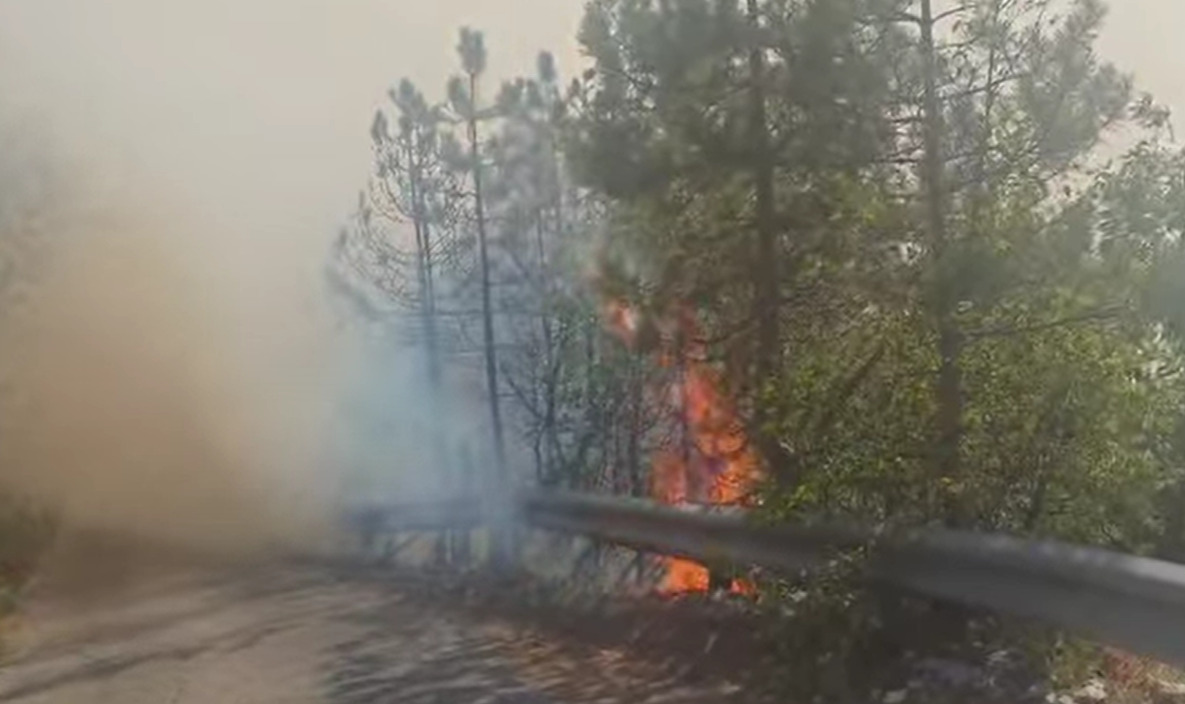 (Видео) Повторно излезе од контрола пожарот во Јасен