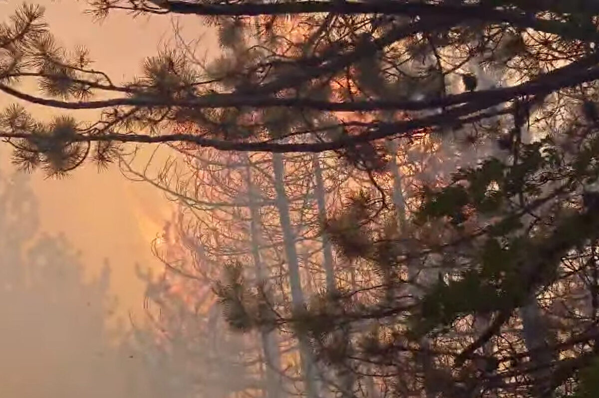 Вкупно девет пожари на отворен простор, активен еден, а два се под контрола