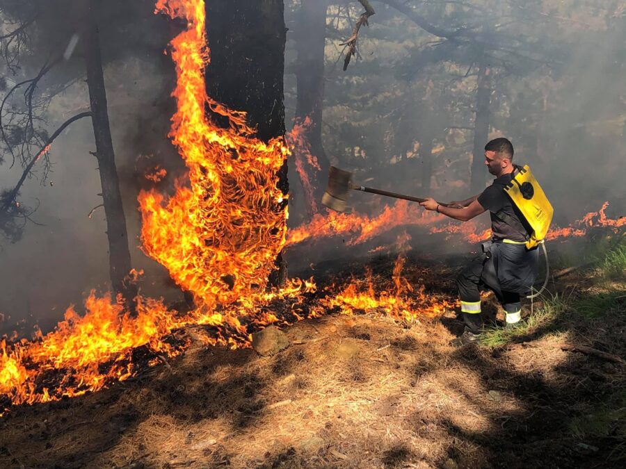 Во Албанија активни се 14 пожари, горат големи површини